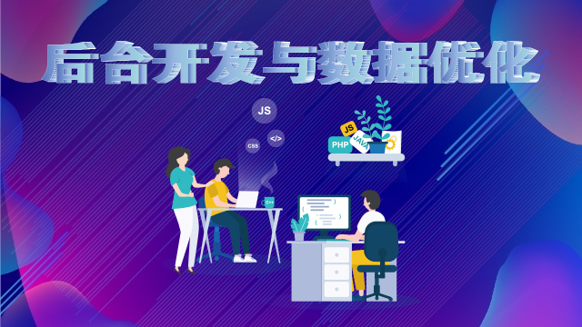 网站后台开发与数据优化